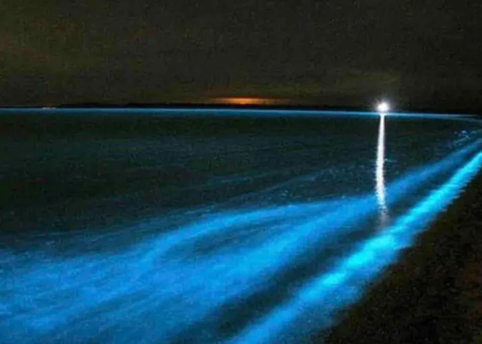 Knus 100m Het Vakantiehuis *