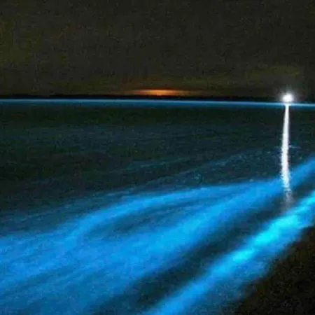 Knus 100m Het بيت للعطل *